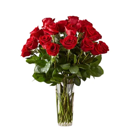 Fleuriste à Casablanca; Livraison de Fleurs Luxe; Livraison de Fleurs Casablanca; Livraison de Fleurs Pas Cher; Fleuristy;24 Bouquet de roses rouges